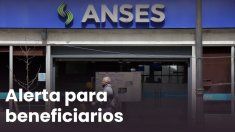 ANSES alerta por las estafas ANSES alerta por las estafas
