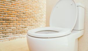 Hay un horario ideal para ir al baño, si es que se tienen en cuenta algunas recomendaciones. Hay un horario ideal para ir al baño, si es que se tienen en cuenta algunas recomendaciones.
