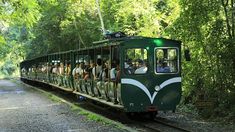 Tren ecológico de la selva, en Cataratas del Iguazú