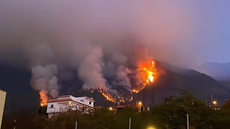 Impresionante incendio forestal en la isla de Tenerife: al menos 5.000 hectáreas afectadas