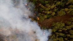 Impresionante incendio forestal en Terenife: al menos 3.000 evacuados