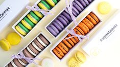 Gontran Cherrier deslumbra con su gran variedad. Gontran Cherrier deslumbra con su gran variedad.