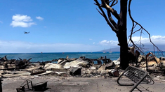 Incendios forestales en Hawaii: aumentan a 55 las muertes y fallaron los sistemas de alertas&nbsp;
