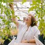 Chan es investigadora superior del CONICET, profesora de la Universidad Nacional del Litoral (UNL) y directora del Instituto de Agrobiotecnología del Litoral (CONICET-UNL). Chan es investigadora superior del CONICET, profesora de la Universidad Nacional del Litoral (UNL) y directora del Instituto de Agrobiotecnología del Litoral (CONICET-UNL).