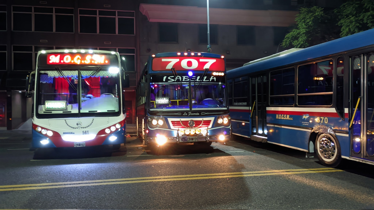 Paro de colectivos: las líneas que podrían absorber los recorridos de las 333, 407, 437 y 707