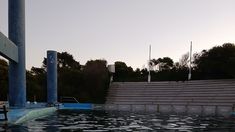 En el ex Aquarium de Mar del Plata permanecen 10 delfines, 7 lobos marinos, 45 pingüinos y 30 lémures bajo supervisión técnica. En el ex Aquarium de Mar del Plata permanecen 10 delfines, 7 lobos marinos, 45 pingüinos y 30 lémures bajo supervisión técnica.