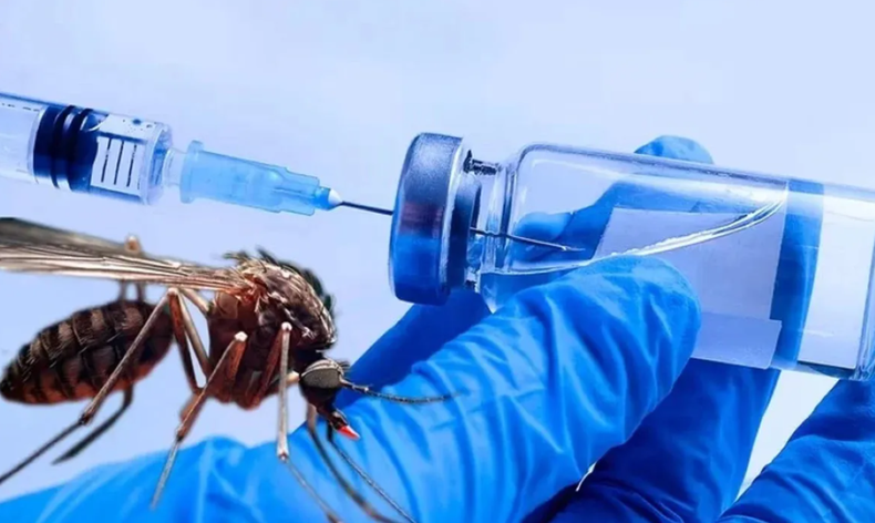 Se pueden registrar casos de dengue en el invierno.