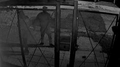 Detuvieron a un tercer sospechoso por el crimen de la jubilada Detuvieron a un tercer sospechoso por el crimen de la jubilada