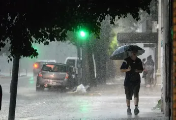 vuelven las tormentas: el smn emitio una alerta amarilla para cuatro provincias vuelven las tormentas: el smn emitio una alerta amarilla para cuatro provincias