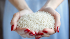 Como parte de la tradición a la hora de despedir un año y darle la bienvenida al próximo, la lista de rituales para la prosperidad es extensa y el arroz es protagonista a la hora de invocar buena energía.