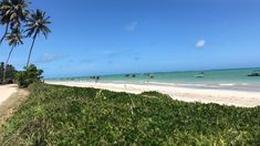 Un destino con playas de arena clara, aguas transparentes y un entorno. Un destino con playas de arena clara, aguas transparentes y un entorno.