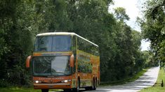 Elecciones 2023 en Córdoba: ¿habrá transporte gratis el domingo 25 de junio?