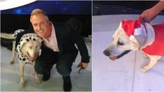 El insólito pedido de Marley tras la muerte de Wylie que quiere convertir en TT El insólito pedido de Marley tras la muerte de Wylie que quiere convertir en TT