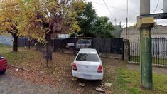Desvalijaron la casa de un hombre de 75 años y mataron a su perro a puñaladas Desvalijaron la casa de un hombre de 75 años y mataron a su perro a puñaladas