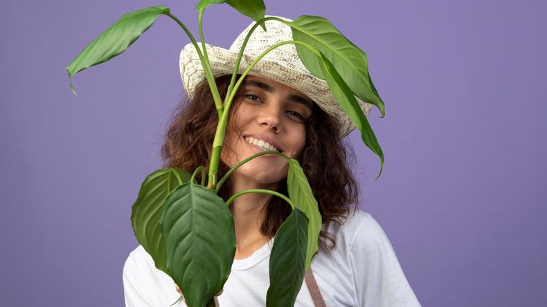 Ciertos signos destacan por su profunda afinidad con el reino vegetal.