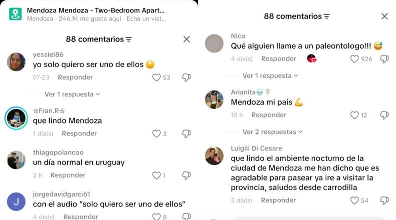 La repercusión que generó el video entre los usuarios de redes.