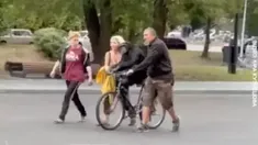 El mono volvió al recinto persuadido por sus cuidadores. El mono volvió al recinto persuadido por sus cuidadores.