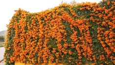 Una opción ideal para quienes quieren romper la monotonía del invierno. Una opción ideal para quienes quieren romper la monotonía del invierno.