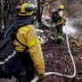 La medida permitirá iniciar de manera automática acciones penales y patrimoniales contra quienes provoquen incendios, ya sea por negligencia o intencionalidad. La medida permitirá iniciar de manera automática acciones penales y patrimoniales contra quienes provoquen incendios, ya sea por negligencia o intencionalidad.