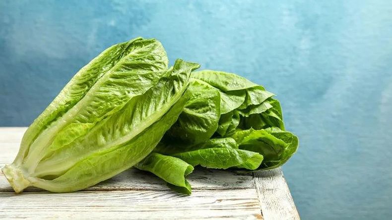 La lechuga aumentó un 73,1% de febrero a marzo. 