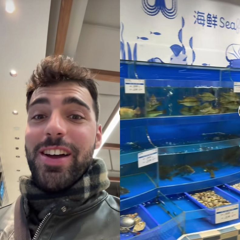 Un influencer reveló cómo son las pescaderías en Pekín y lo que mostró fue viral.