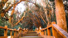 Los visitantes pueden inclinarse por una excursión completa a pie, una combinación de navegación y trekking. Los visitantes pueden inclinarse por una excursión completa a pie, una combinación de navegación y trekking.