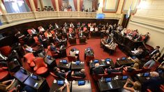 El Senado aprobó el proyecto para suspener las PASO y ahora lo debatirá Diputados.&nbsp;