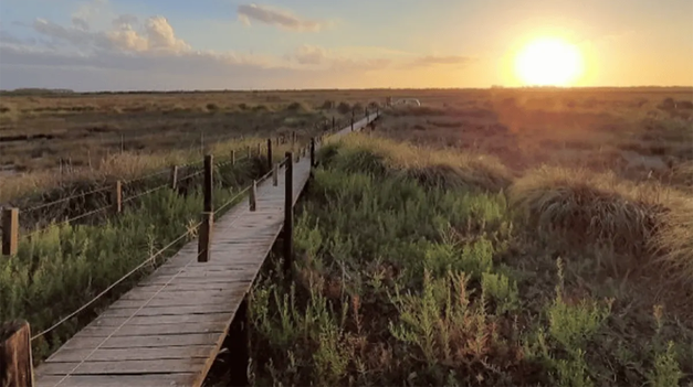 Punta Rasa cuenta con costas extensas y un amanecer de película.&nbsp;