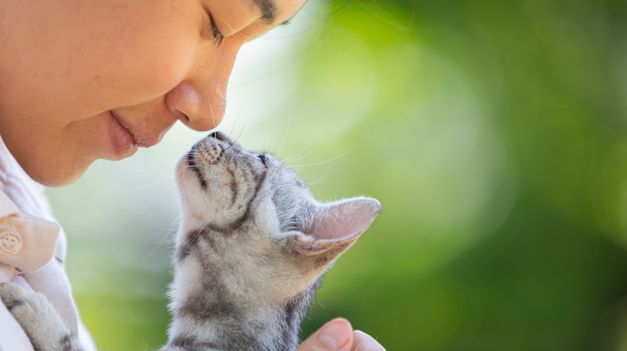 Elegir una raza con un temperamento adecuado es fundamental para que la primera adopción se convierta en una muy buena experiencia.