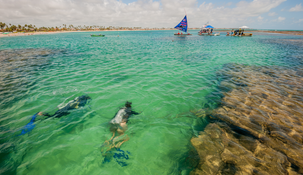 Las piscinas naturales de Porto de Galinhas permiten observar peces de colores en aguas cálidas y cristalinas. Las piscinas naturales de Porto de Galinhas permiten observar peces de colores en aguas cálidas y cristalinas.