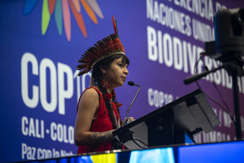 La Conferencia de las Partes de Biodiversidad (COP16) se realizó este año en Colombia.