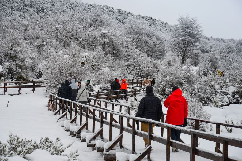 La capital fueguina podría pasar casi dos días consecutivos bajo estas precipitaciones.