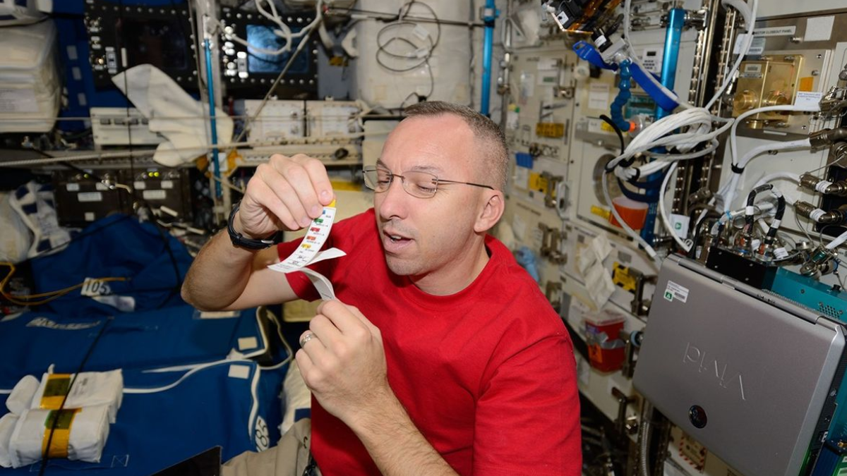 Misión Artemis 2 a la Luna: ¿qué experimentos realizarán los astronautas de la NASA en el espacio?