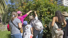 Naturaleza Política, un proyecto para conocer las flores y los insectos en el predio de la ex-ESMA. Naturaleza Política, un proyecto para conocer las flores y los insectos en el predio de la ex-ESMA.