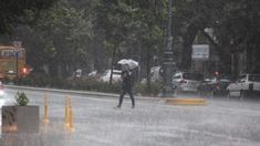 Alerta amarillo en La Plata por tormentas fuertes Alerta amarillo en La Plata por tormentas fuertes