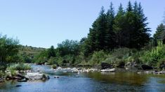 En Córdoba hay un pueblo desconocido con playas naturales perfectas para descansar. En Córdoba hay un pueblo desconocido con playas naturales perfectas para descansar.