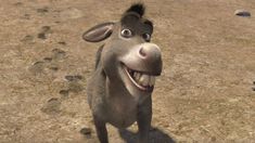 El burro de Shrek siempre está presente por su parecido a Luck Ra. El burro de Shrek siempre está presente por su parecido a Luck Ra.