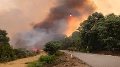 Los incendios devastaron 20.000 hectáreas en el noroeste del país.