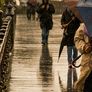 El fenómeno Super El Niño podría golpear el país en 2026. El fenómeno Super El Niño podría golpear el país en 2026.