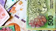 Massa envió el Presupuesto 2024. Massa envió el Presupuesto 2024.