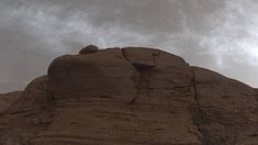 NASA busca ciudadanos que colaboren con sus investigaciones. NASA busca ciudadanos que colaboren con sus investigaciones.