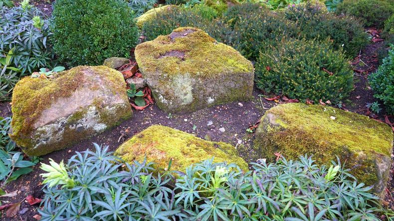 Con la llegada de la primavera, el jardín comienza a recuperar su protagonismo, y el césped vuelve a ser el centro de las actividades al aire libre