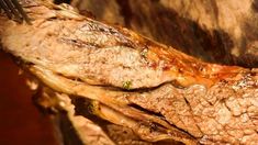 La mejor carne, a metros del Abasto. La mejor carne, a metros del Abasto.