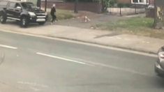 El perro salvó a su dueña de ser atropellada. El perro salvó a su dueña de ser atropellada.