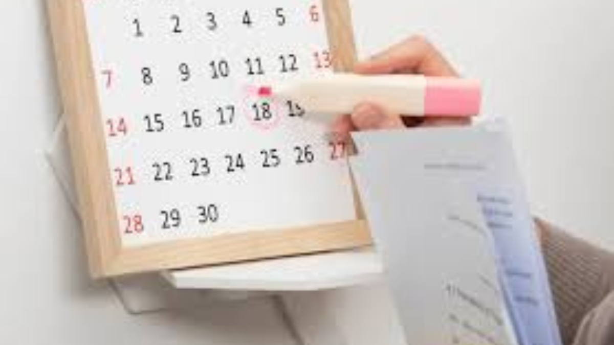 Cuándo caen los feriados de Carnaval en 2025 ¿hay fin de semana largo?