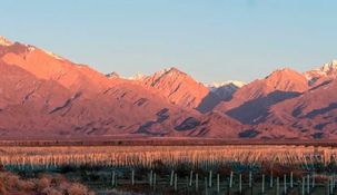 Situado a solo 80 kilómetros de Mendoza, Los Chacayes es de fácil acceso por rutas pavimentadas, ideal para una escapada de fin de semana.