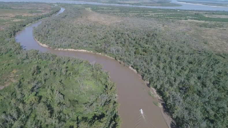 La Ley 26.331 marca la conservaci&oacute;n de los bosques nativos en el pa&iacute;s. &nbsp;