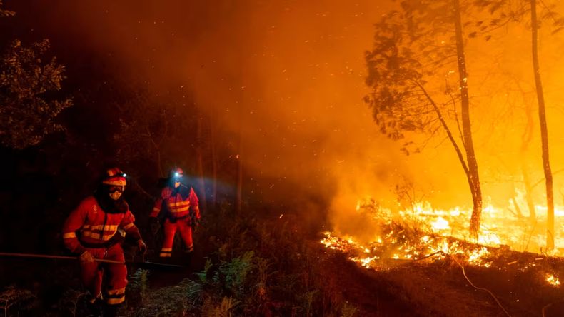 España ante la peor ola de calor en décadas: más de 1.100 muertes y récord de incendios forestales.