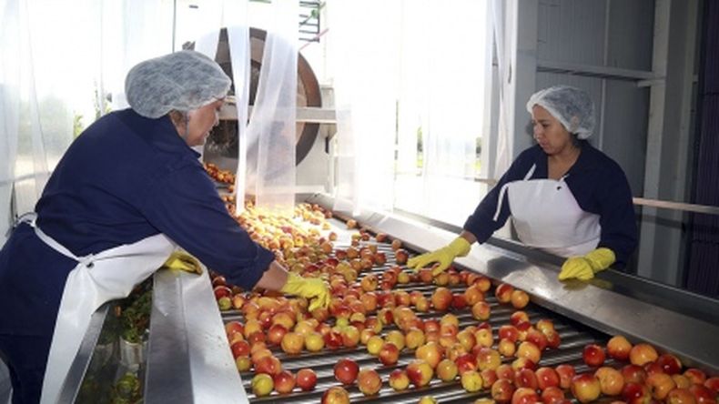 Cuándo se pagará el bono para los titulares del Potenciar Trabajo