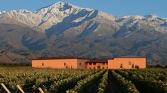 Se encuentra en el Valle de Uco, a 100 kilómetros de la capital de Mendoza Se encuentra en el Valle de Uco, a 100 kilómetros de la capital de Mendoza